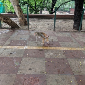IMG_20190708_073923.jpg
